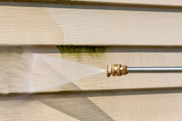 Best Residential Pressure Washing Services  in St John, IN